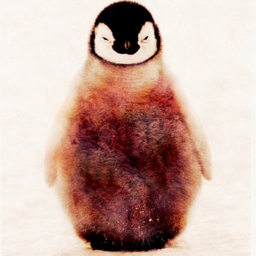 PenguinKat16