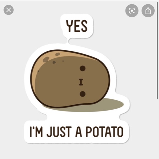 Just a potato 🥔 