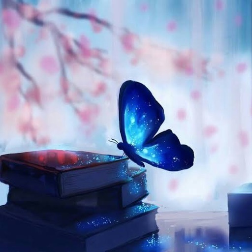 ButterflyMagic