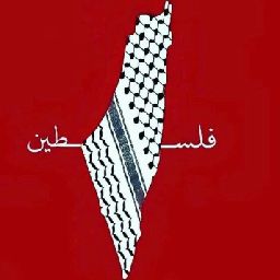  free Palestine
