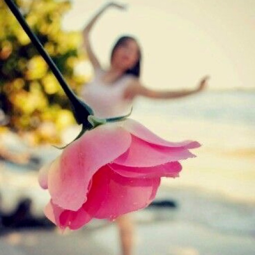 Pink Blossom 🌸2018🌸