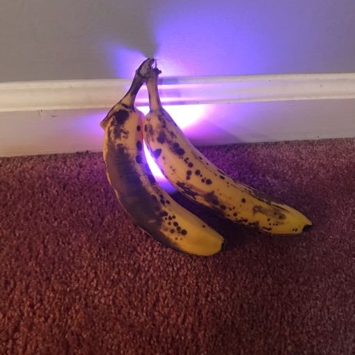 Hannah the banana