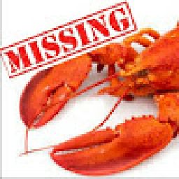 Missing Lobster