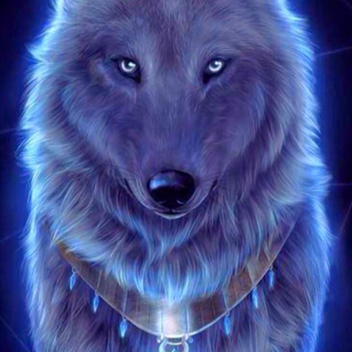 sophia wolf