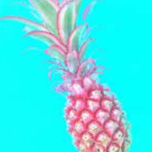 Pineapple lover🍍
