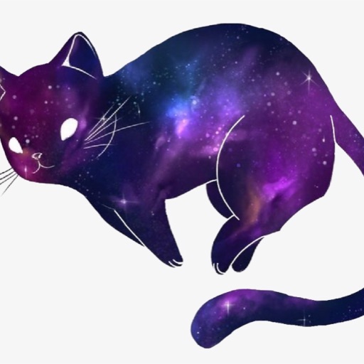 The Galaxy Cat 🎆