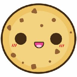 CHOCOLATE CHIP COOKIE 