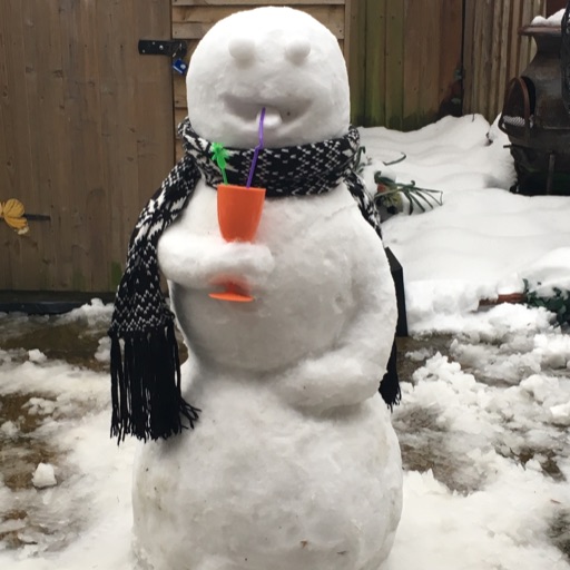 Sober snowman 