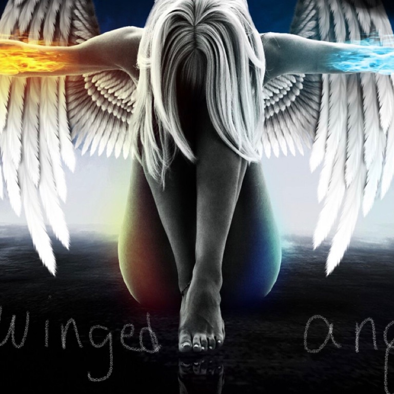 Half winged angel 