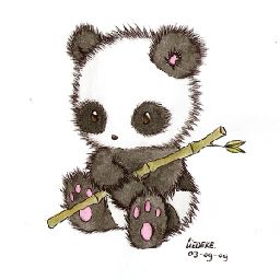 Panda pug 644