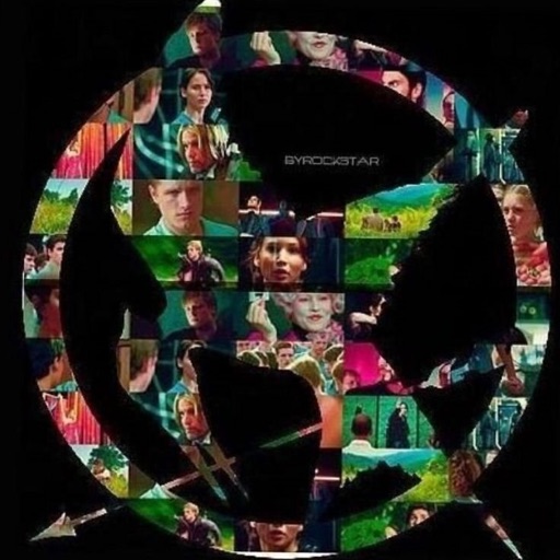Hunger Games Luvr!! 
