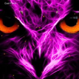 the neon owl