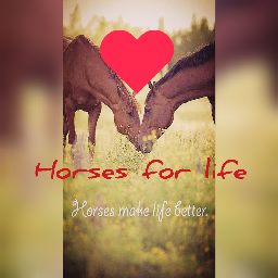 Horses for Life 🇺🇸🐎🇺🇸