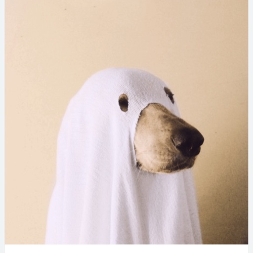 doggy_ghost