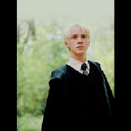 Draco's Girlfriend🖤💚🖤