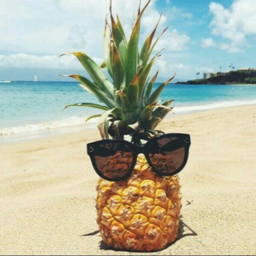 Jeff the Pineapple 🍍