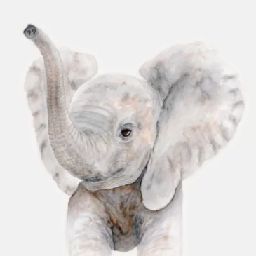 VIP_Elephant