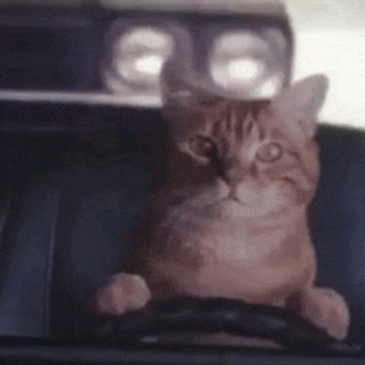 Kitty driver