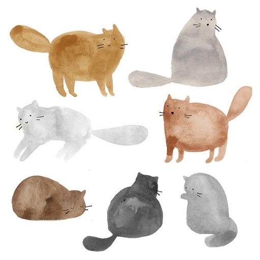 The Kitties 