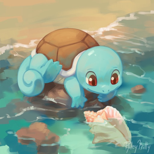 Squirtle17🐢