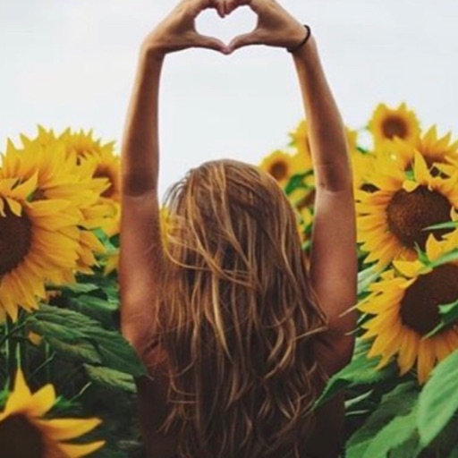 Sunflower 🌻🌟✨