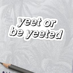 yeet or be yeeted