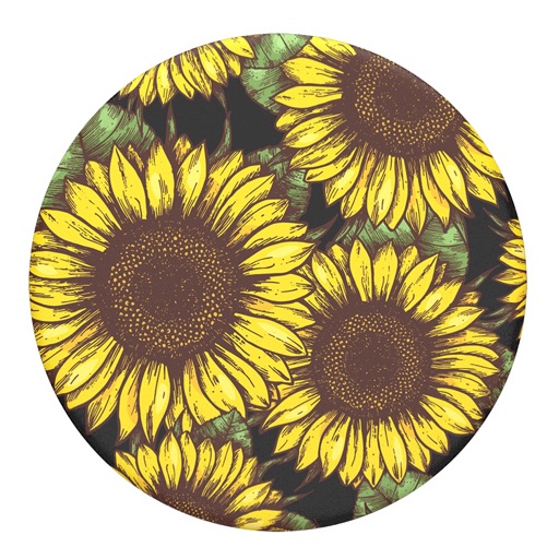 🌻 sunflower 🌻 