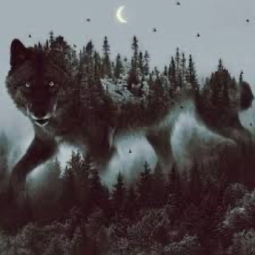 Nightfallwolf