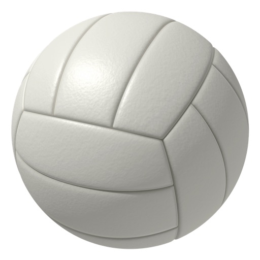 Volleyballgirl18