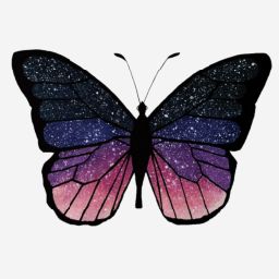 Inkblot Butterfly (quit)